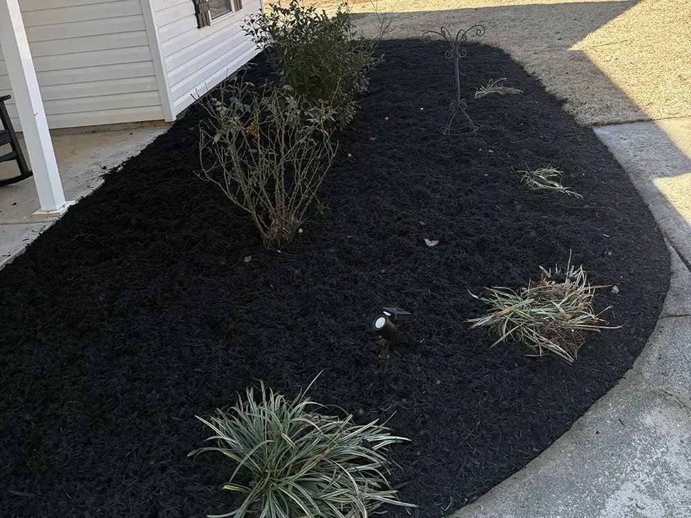 mulch installation