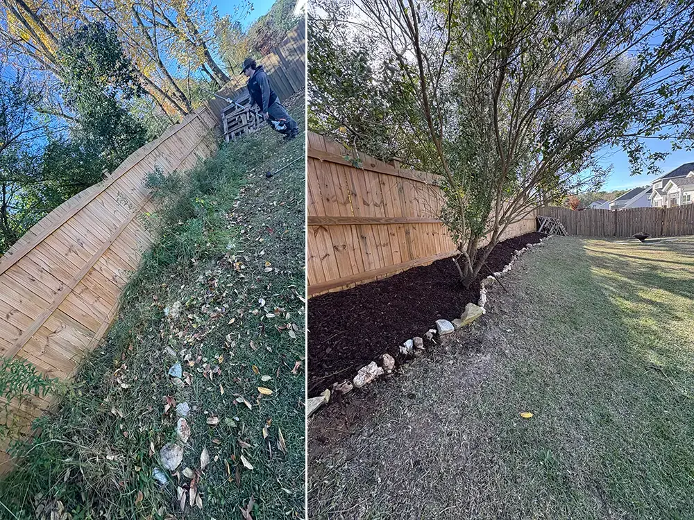planter clean up