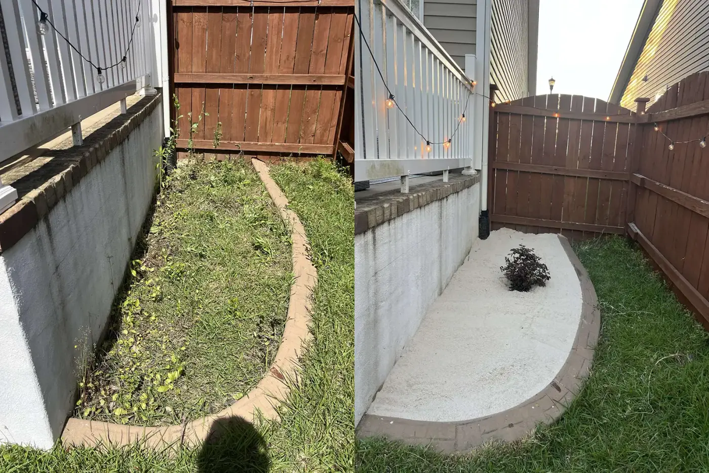 bush and flower planting