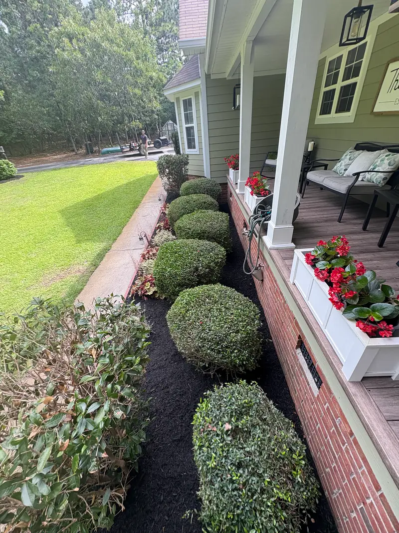 Clipped boxwoods and red planters along a back deck