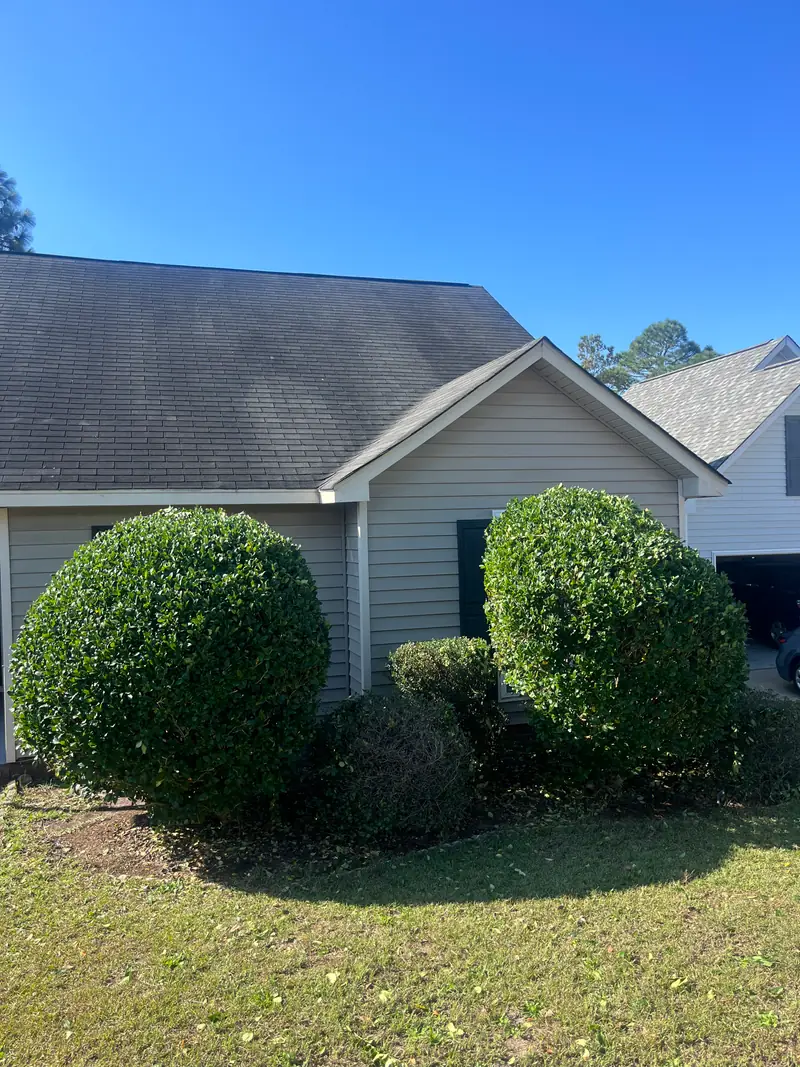 Large rounded boxwoods trimmed at the front of a home