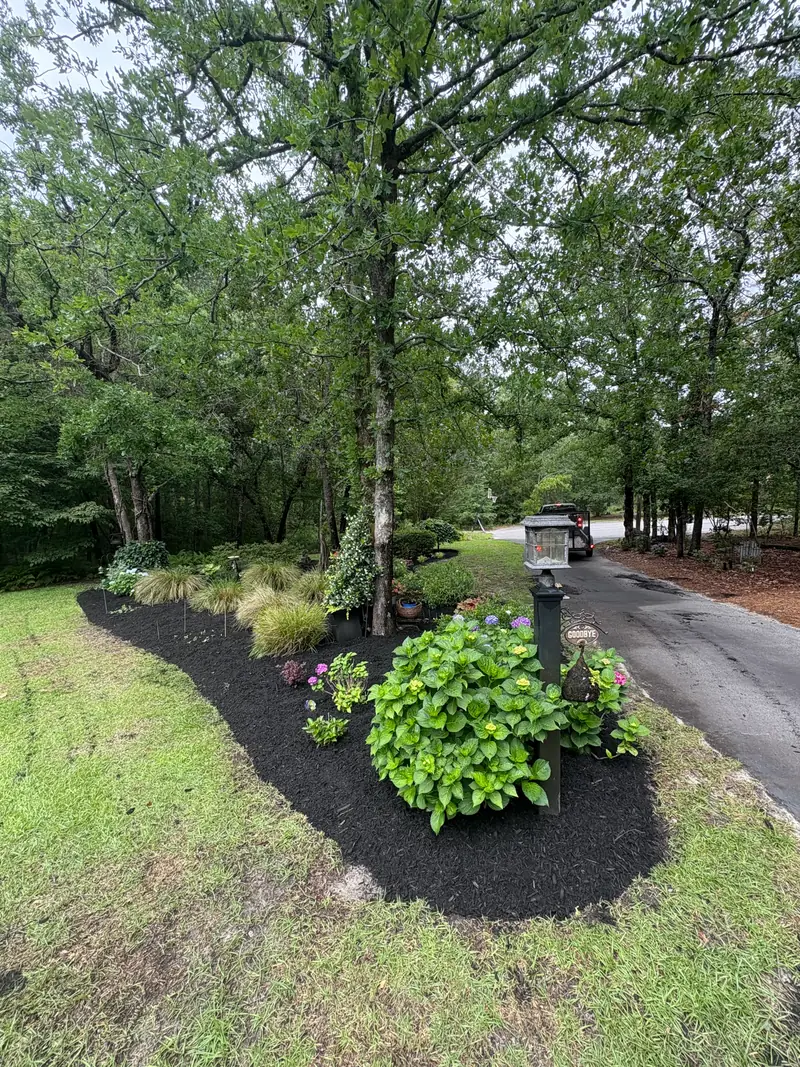 Dark mulch bed and new plantings along a wooded driveway