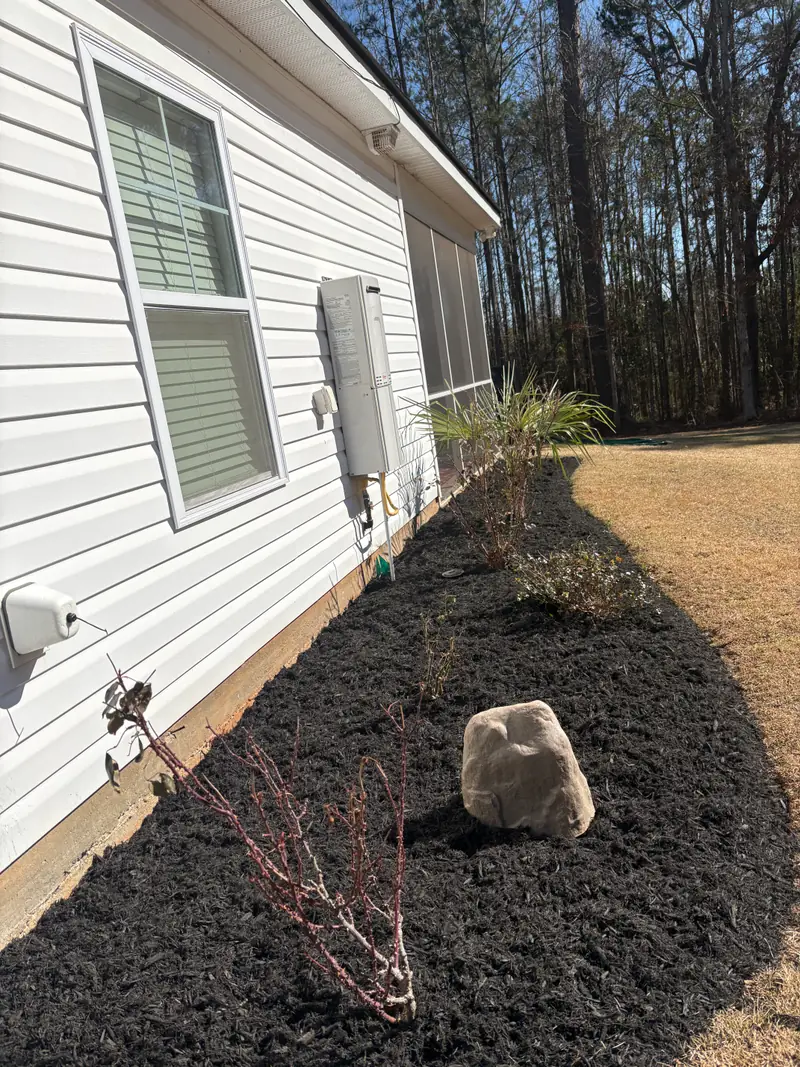 Fresh mulch bed and young plantings along a side yard