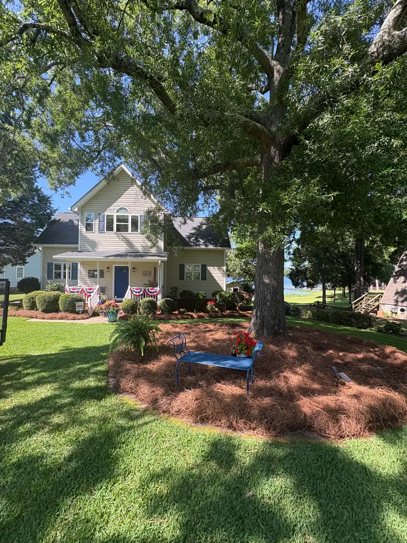Pine straw bed ringing a mature shade tree