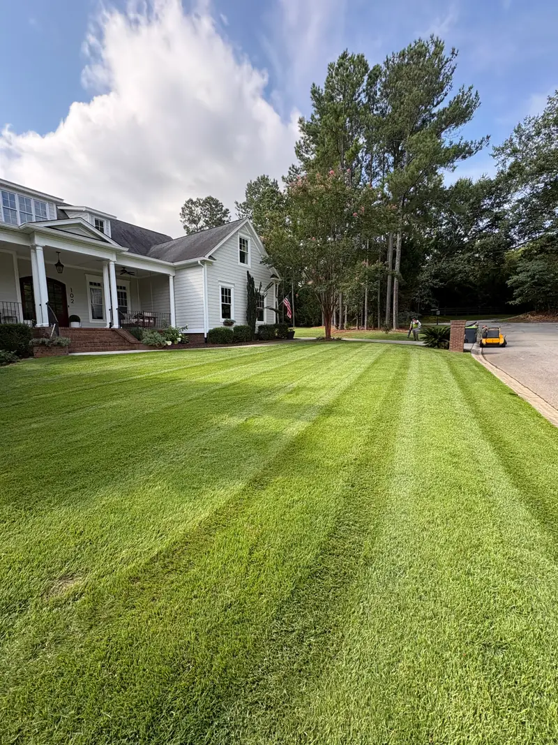 Deep mowing stripes across the lawn of a columned white home