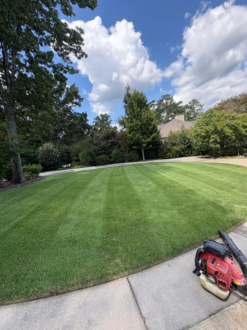 Large yard mowed in clean stripes
