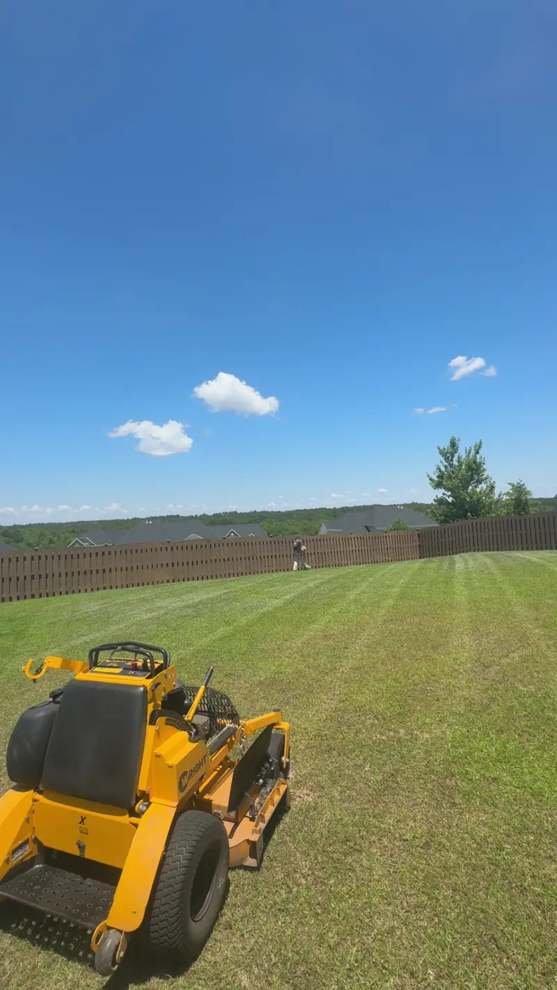 Striped mowing across a fenced backyard